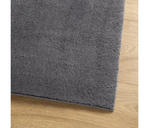 Paklājs Huarte, Īsa Spalva, Mīksts, Mazgājams, Antracītpelēks Vidaxl