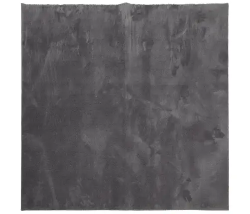 Paklājs Huarte, Īsa Spalva, Mīksts, Mazgājams, Antracītpelēks Vidaxl