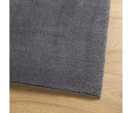 Paklājs Huarte, Īsa Spalva, Mīksts, Mazgājams, Antracītpelēks Vidaxl