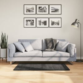 Paklājs Pamplona, 60X110 Cm, Shaggy, Moderns, Antracītpelēks Vidaxl