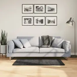 Paklājs Pamplona, 60X110 Cm, Shaggy, Moderns, Antracītpelēks Vidaxl