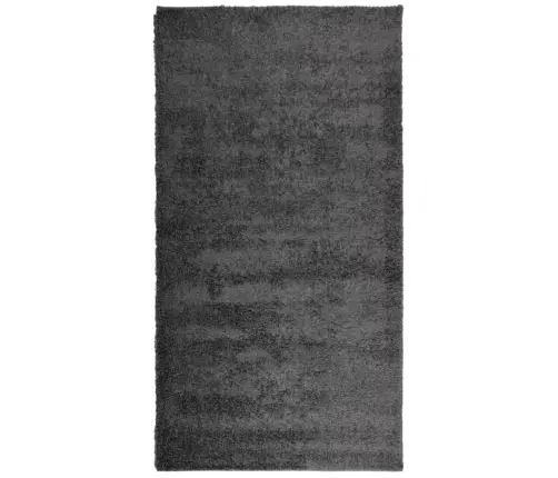 Paklājs Pamplona, 80X150 Cm, Shaggy, Moderns, Antracītpelēks Vidaxl