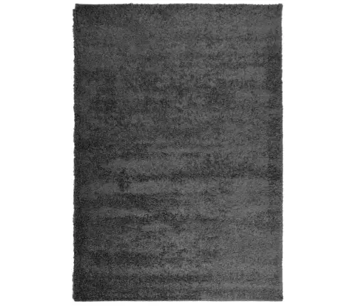 Kõrge Narmaga Shaggy Vaip "Pamplona", Antratsiithall 140X200 Cm