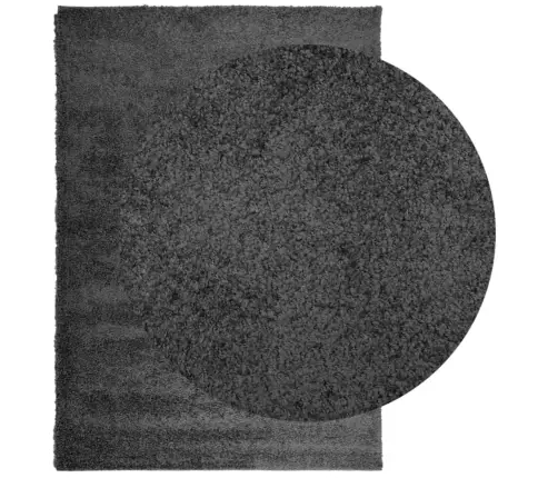 Kõrge Narmaga Shaggy Vaip "Pamplona", Antratsiithall 160X230 Cm
