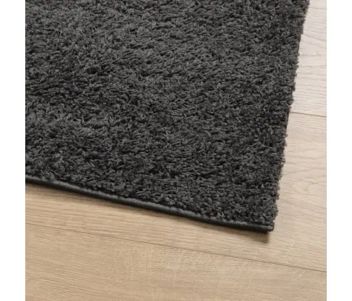 Kõrge Narmaga Shaggy Vaip "Pamplona", Antratsiithall 160X230 Cm