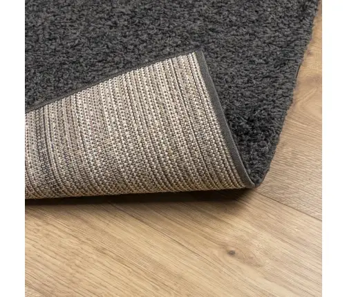 Kõrge Narmaga Shaggy Vaip "Pamplona", Antratsiithall 160X230 Cm