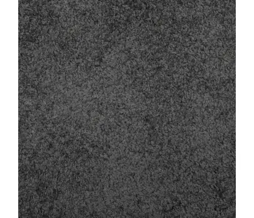 Kõrge Narmaga Shaggy Vaip "Pamplona", Antratsiithall 160X230 Cm