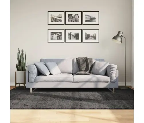 Kõrge Narmaga Shaggy Vaip "Pamplona", Antratsiithall 160X230 Cm