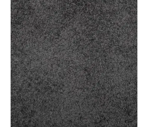 Paklājs Pamplona, Ø 80 Cm, Shaggy, Moderns, Antracītpelēks Vidaxl Paklājs Pamplona, Ø 80 Cm, Shaggy, Moderns, Antracītpelēks Vidaxl