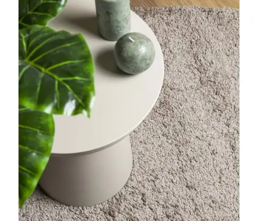 Kõrge Narmaga Shaggy Vaip, Beež, 120X170 Cm