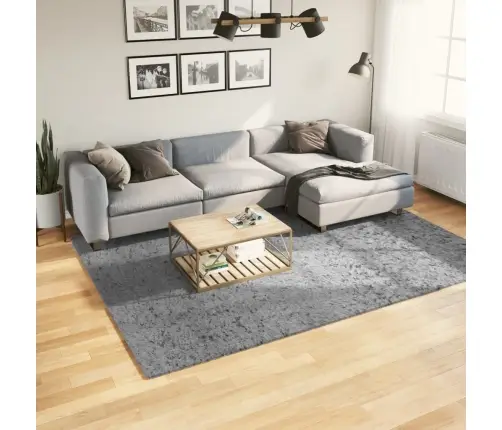 Shaggy Kilimas Pamplona, Pilkas, 200X280cm Aukšti Šereliai