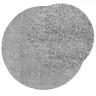 Shaggy Kilimas Pamplona, Pilkas, 160Cm Skersmens