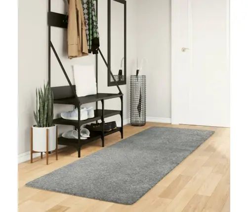 Kõrge Narmaga Shaggy Vaip, Roheline, 80X250 Cm