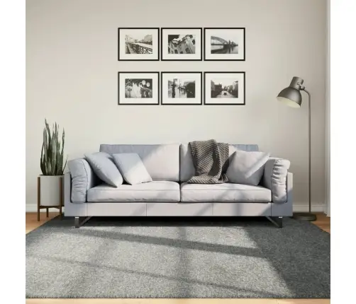 Kõrge Narmaga Shaggy Vaip, Roheline, 200X200 Cm