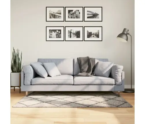 Shaggy Kilimas Pamplona, Smėlio Ir Antracito, 80X150Cm