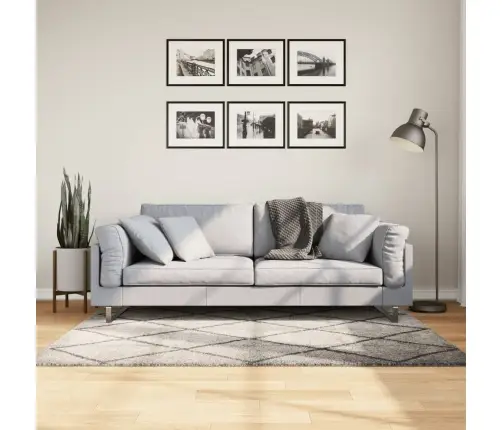 Shaggy Kilimas Pamplona, Smėlio Ir Antracito, 120X170Cm