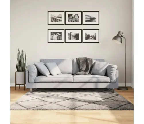 Paklājs Pamplona, 160X160Cm, Shaggy Moderns Bēšs Antracītpelēks Vidaxl Paklājs Pamplona, 160X160Cm, Shaggy Moderns Bēšs Antracītpelēks Vidaxl