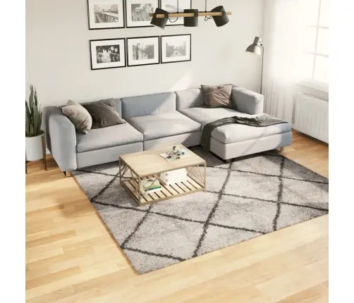 Paklājs Pamplona, 240X240Cm, Shaggy Moderns Bēšs Antracītpelēks Vidaxl