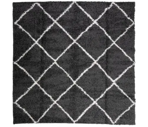 Kõrge Narmaga Shaggy Vaip "Pamplona", Must/Kreemjas 120X120 Cm