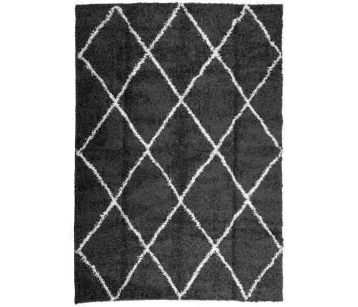 Shaggy Kilimas Pamplona, Juodas Ir Kreminis, 120X170Cm