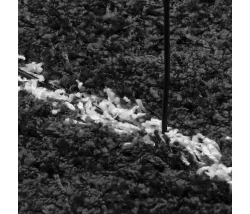 Shaggy Kilimas Pamplona, Juodas Ir Kreminis, 120X170Cm