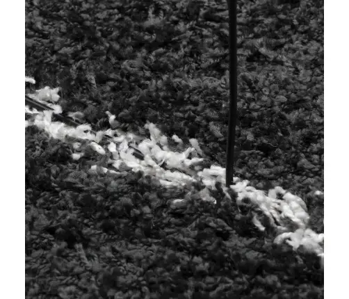 Kõrge Narmaga Shaggy Vaip "Pamplona", Must/Kreemjas, Ø 160 Cm