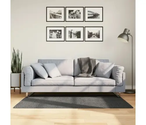 Kilimas Iza, Antracito, 80X150cm Trumpi Šereliai