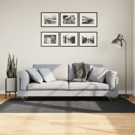 Paklājs Iza, Īsa Spalva, Skandināvu Stils, Pelēks, 100X200 Cm Vidaxl