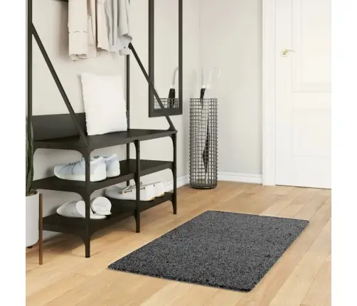 Paklājs Oviedo, Īsa Spalva, Mīksts, Antracītpelēks, 60X110 Cm Vidaxl