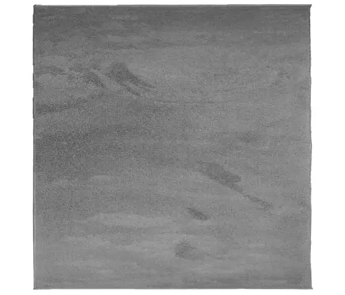 Paklājs Oviedo, Īsa Spalva, Antracītpelēks, 120X120 Cm Vidaxl