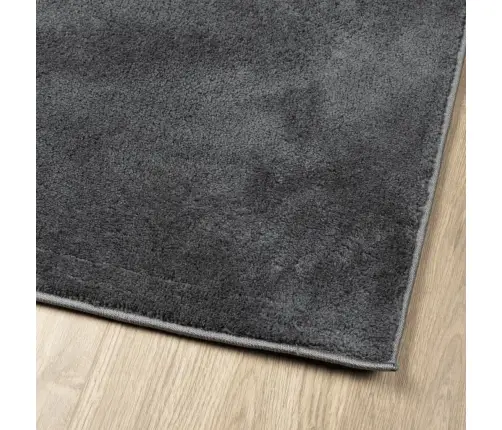 Paklājs Oviedo, Īsa Spalva, Antracītpelēks, 120X120 Cm Vidaxl