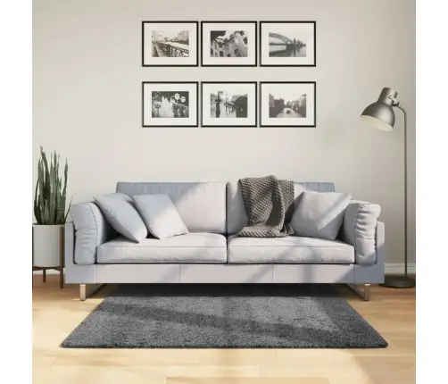 Paklājs Oviedo, Īsa Spalva, Antracītpelēks, 120X120 Cm Vidaxl