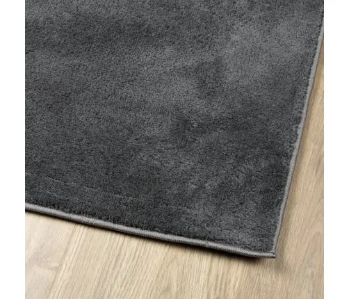 Paklājs Oviedo, Īsa Spalva, Antracītpelēks, 140X200 Cm Vidaxl