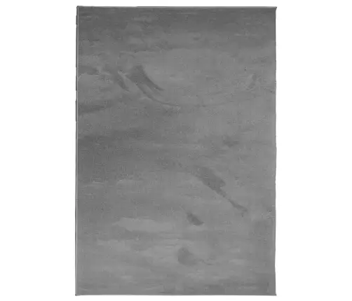 Paklājs Oviedo, Īsa Spalva, Antracītpelēks, 160X230 Cm Vidaxl