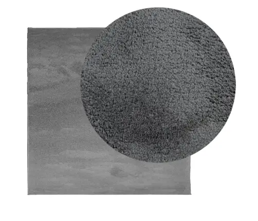 Paklājs Oviedo, Īsa Spalva, Antracītpelēks, 200X200 Cm Vidaxl Paklājs Oviedo, Īsa Spalva, Antracītpelēks, 200X200 Cm Vidaxl
