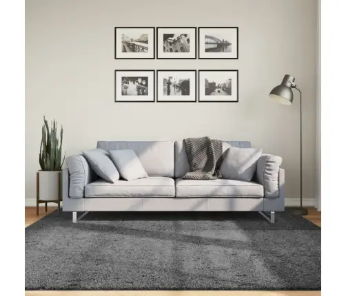 Paklājs Oviedo, Īsa Spalva, Antracītpelēks, 200X200 Cm Vidaxl Paklājs Oviedo, Īsa Spalva, Antracītpelēks, 200X200 Cm Vidaxl