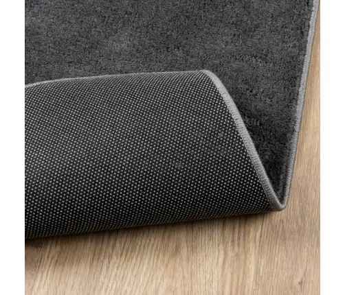 Kilimas Oviedo, Antracito Spalvos, 200X280cm Trumpi Šereliai