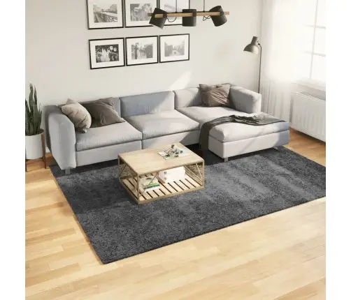 Kilimas Oviedo, Antracito Spalvos, 200X280cm Trumpi Šereliai