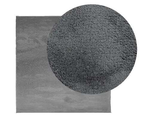 Paklājs Oviedo, Īsa Spalva, Antracītpelēks, 240X240 Cm Vidaxl