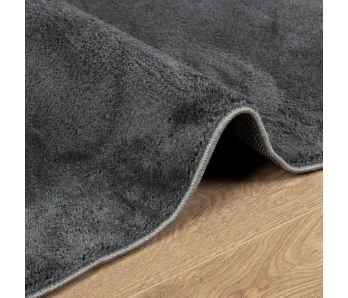 Paklājs Oviedo, Īsa Spalva, Antracītpelēks, 240X240 Cm Vidaxl