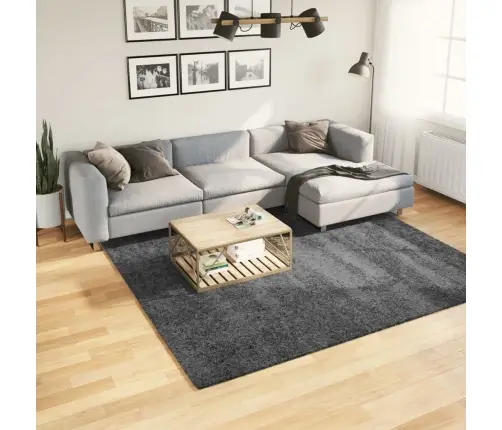 Paklājs Oviedo, Īsa Spalva, Antracītpelēks, 240X240 Cm Vidaxl