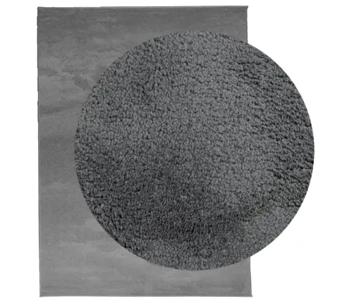 Paklājs Oviedo, Īsa Spalva, Antracītpelēks, 240X340 Cm Vidaxl Paklājs Oviedo, Īsa Spalva, Antracītpelēks, 240X340 Cm Vidaxl