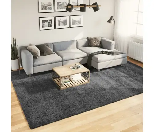 Paklājs Oviedo, Īsa Spalva, Antracītpelēks, 240X340 Cm Vidaxl Paklājs Oviedo, Īsa Spalva, Antracītpelēks, 240X340 Cm Vidaxl
