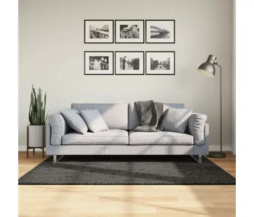 Paklājs Istan, Gara Spalva, Spīdīgi Antracītpelēks, 120X170 Cm Vidaxl