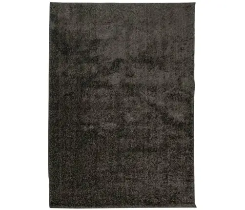 Paklājs Istan, Gara Spalva, Antracītpelēks, 200X280 Cm Vidaxl