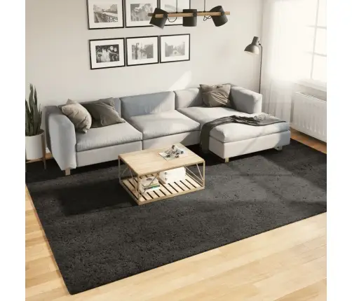 Kilimas Istan, Antracito, 240X340cm Blizgus, Aukšti Šereliai