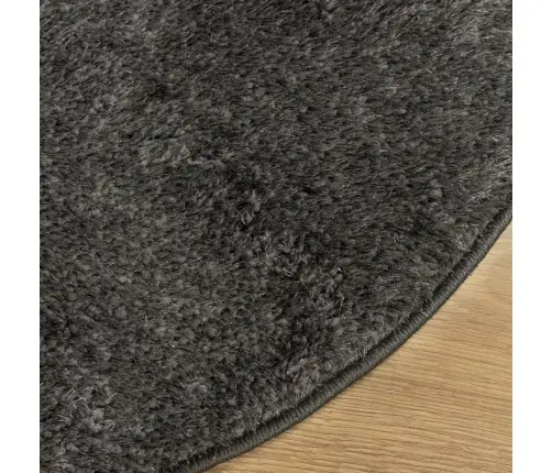 Paklājs Istan, Gara Spalva, Spīdīgi Antracītpelēks, Ø 80 Cm Vidaxl