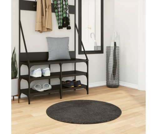 Vaip "Istan", Kõrge Narmaga, Läikiv, Antratsiithall, Ø 80 Cm