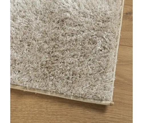 Paklājs Istan, Gara Spalva, Spīdīgi Bēšs, 160X230 Cm Vidaxl