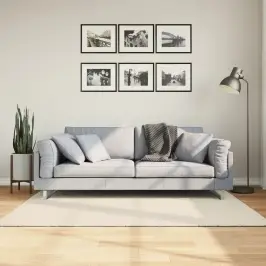 Paklājs Istan, Gara Spalva, Spīdīgi Krēmkrāsas, 120X170 Cm Vidaxl